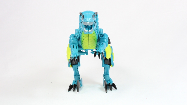 Slash Dinobot Deluxe Class  (17 of 30)